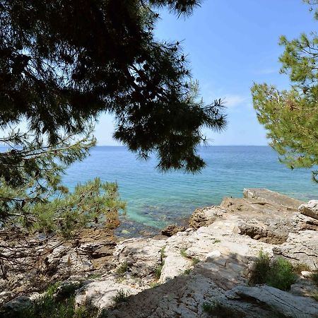 Sea Side Apartment Murter Bagian luar foto